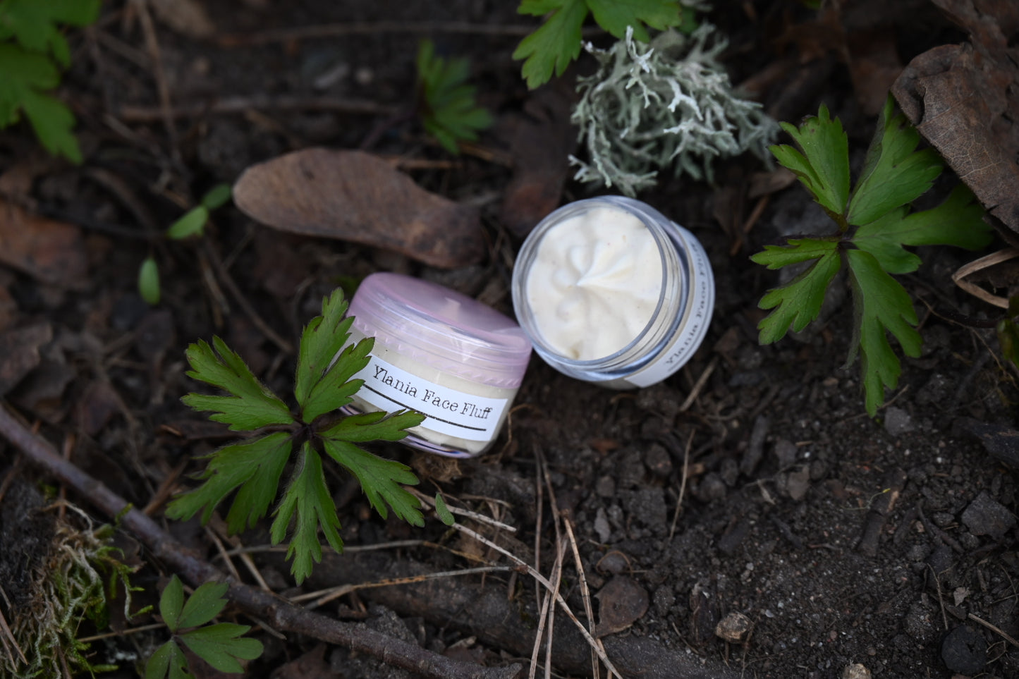 đ©· Ylania Premium Face Fluff â 5 ml